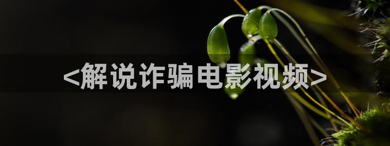 新闻图片